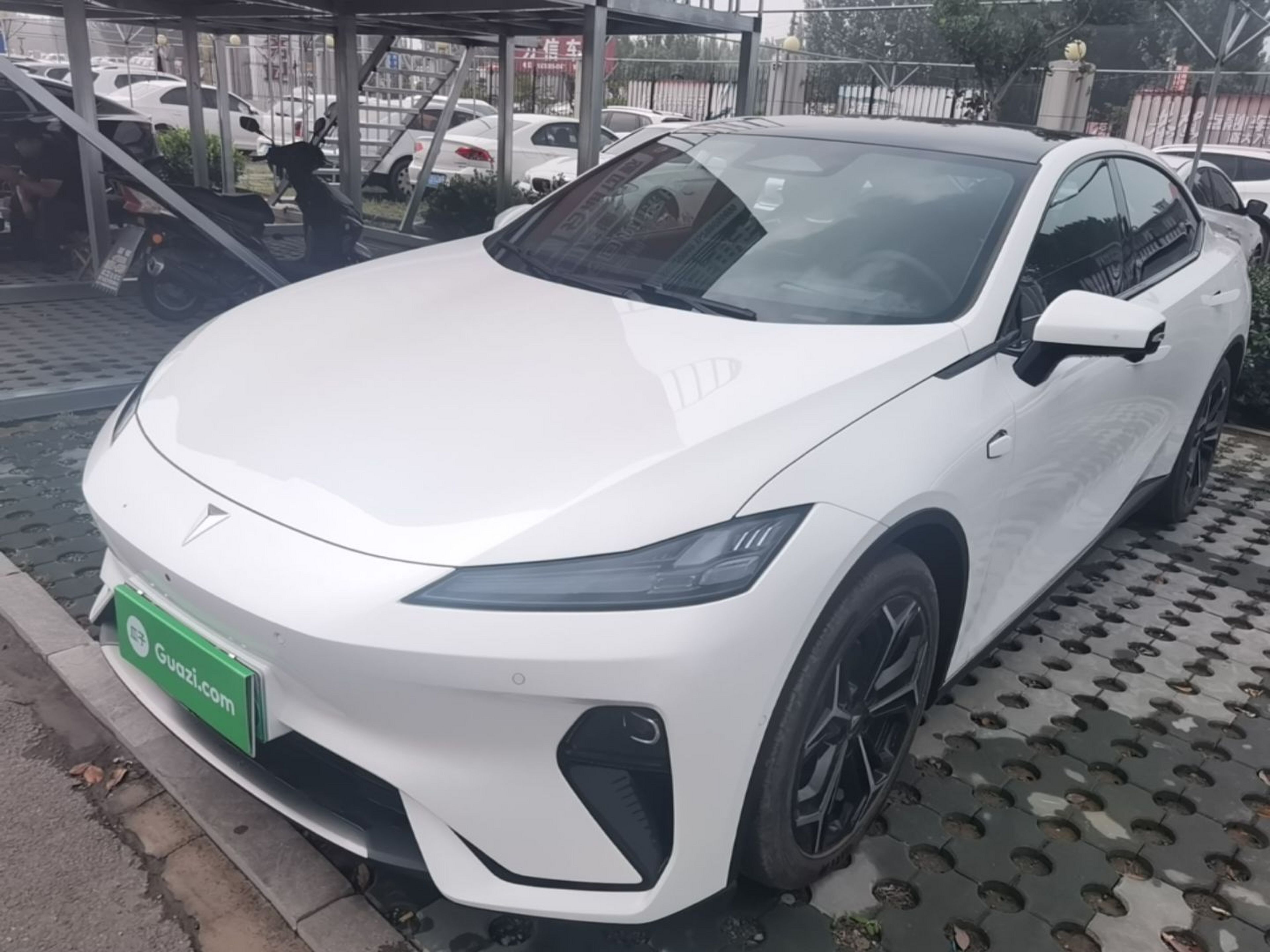 Under Front Bumper