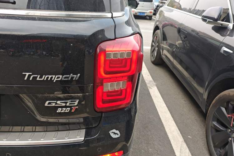 Used GAC Trumpchi GS8 2017 320T Two-Wheel Drive Luxury Smart Connectivity Version (7 Seats) Exterior 3