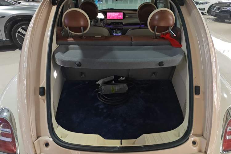 Used ORA Ballet Cat 2023 401 km Luxury Version
