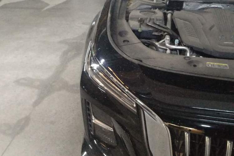 Used Hongqi H5 2025 1.5T DCT Qiyun 500 000th Unit Commemorative Edition
