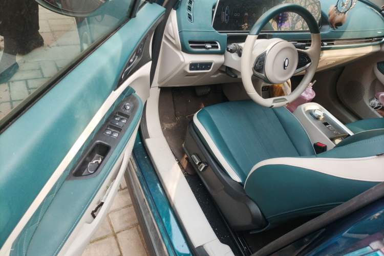 Used ORA Good Cat 2021 400km Standard Range Athena Edition Lithium Iron Phosphate
