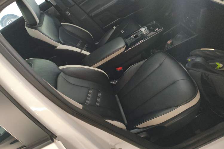 Used Geometry E Firefly 2022 401KM Lightning Tiger 5-Seater