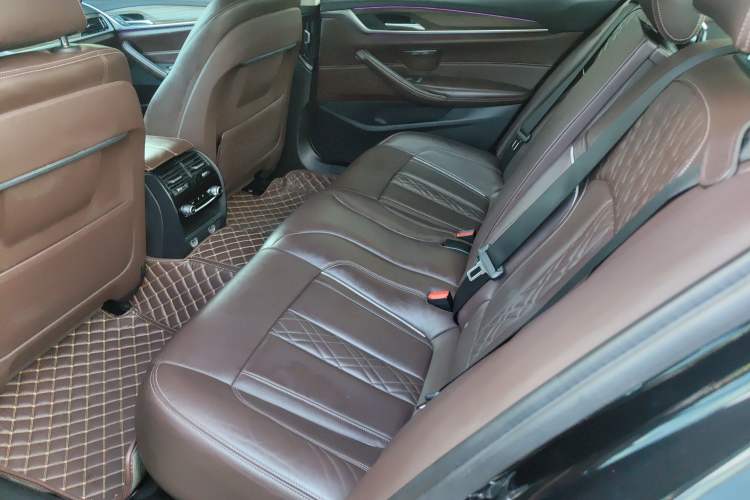 Used BMW 5 Series New Energy 2019 530Le Luxury Package
