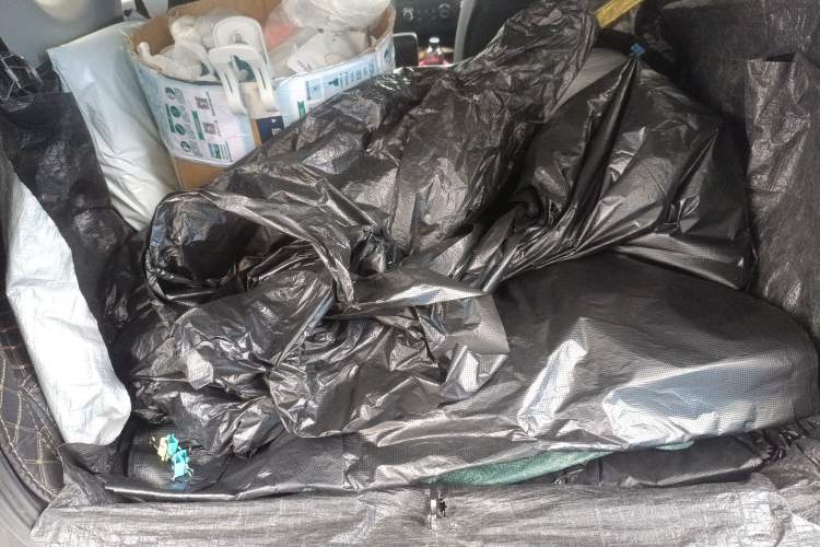 Used Chery Little Ant 2024 Edition Youth Version 251km True Love Edition 25.05 kWh