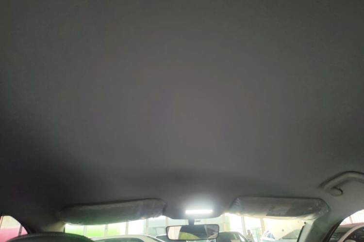 Used Geometry A 2024 410KM Travel Edition Headliner