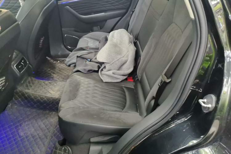 Used Hongqi HS5 2022 2.0T Smart Connect Flagship Edition Left Rear Seat