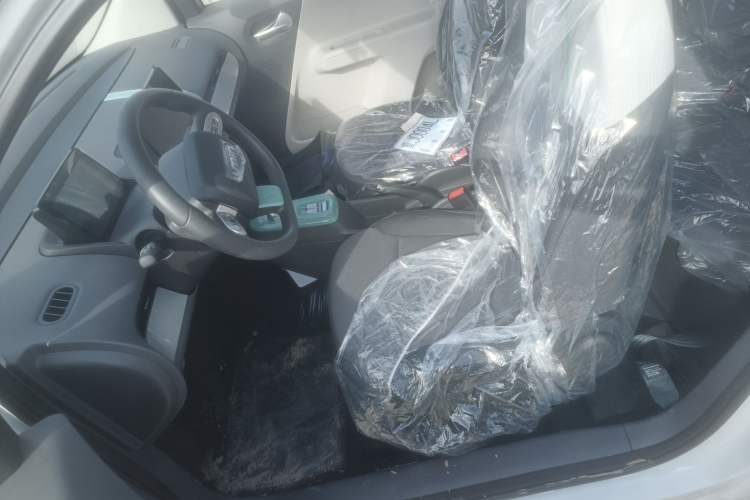 Used Qiyuan Lumin 2024 130km Qingyue Version