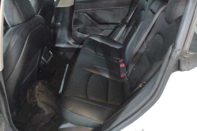 Used Tesla Model 3 2019 Long-Range Rear-Wheel-Drive Version Left Rear Seat