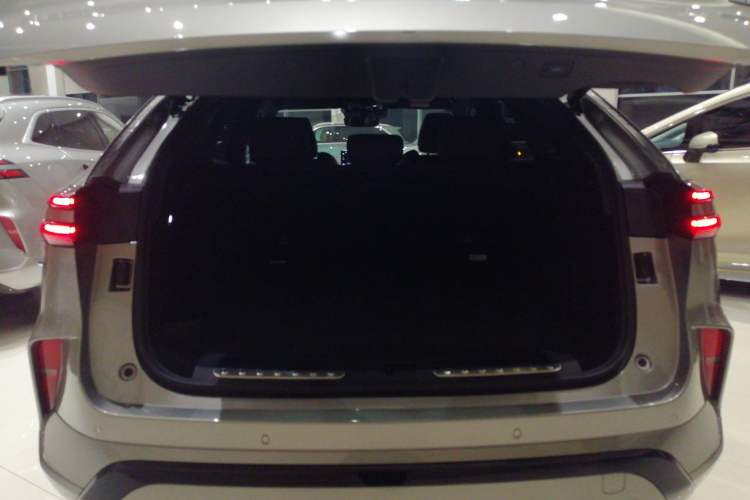 Used Wey Mocha New Energy 2024 Hi4 Four-Wheel Drive Long-Range Version