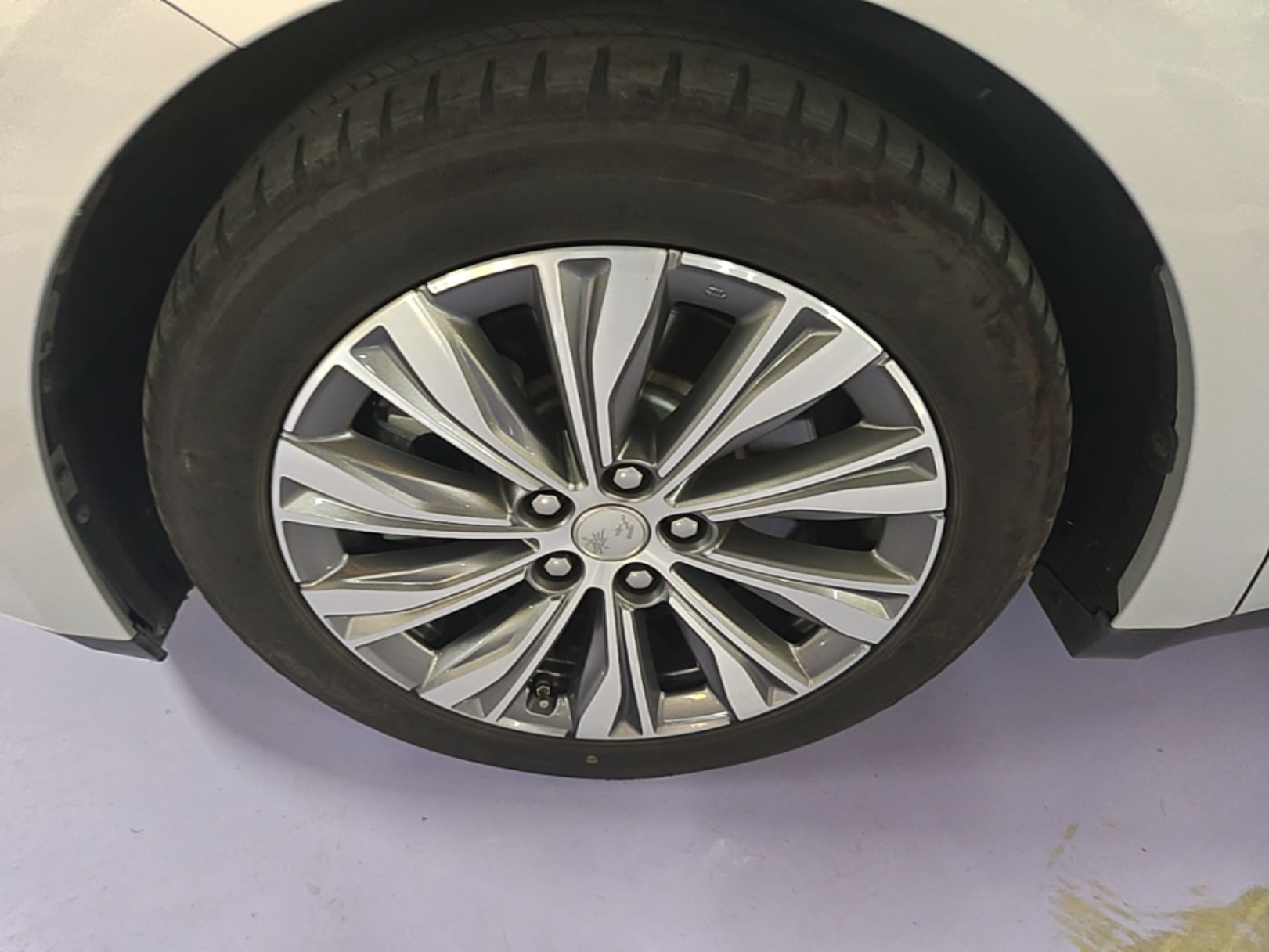 Hongqi E-QM5 2024 610 km PLUS — снимка 10