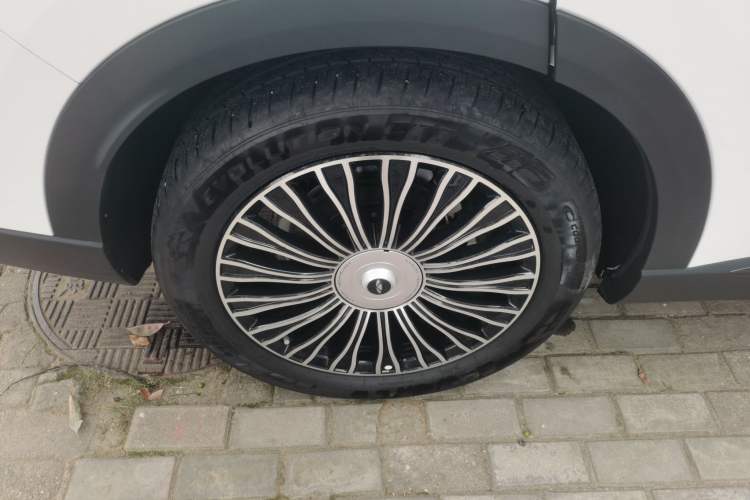 Used Chery Fengyun T9 2024 120 Long-Range Luxury Version 5 Seats Ternary Lithium
