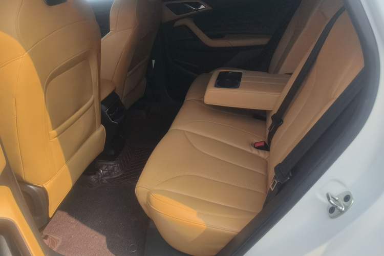 Used Roewe RX5 2023 1.5T Elite Edition
