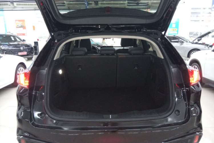 Used Wey VV5 2021 1.5T Two-Wheel Drive Color Pioneer
