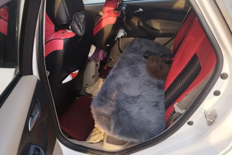 Used Ford Focus 2017 Sedan 1.6L Automatic Comfort Plus SmartDrive Edition
