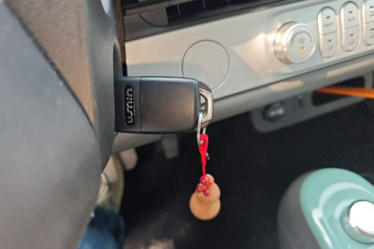 Used Qiyuan Lumin 2023 205km Xiangqin Version
