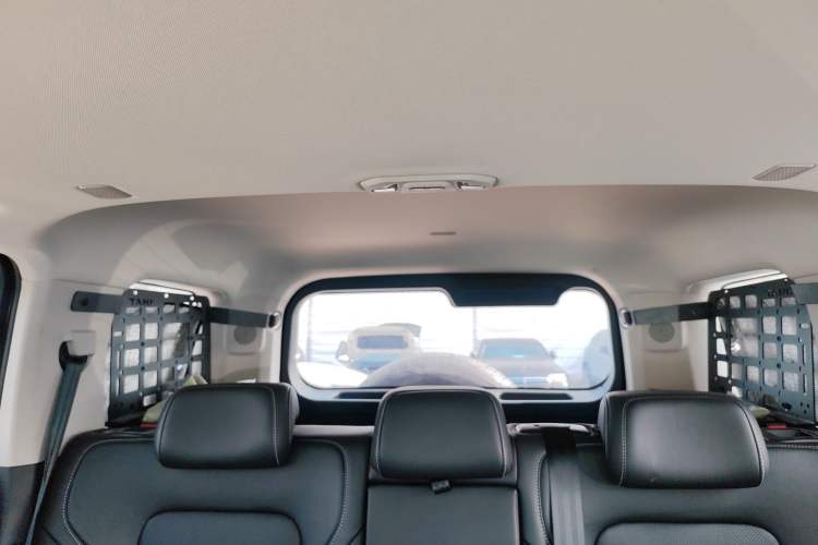 Used Tank 300 New Energy 2025 Hi4-T Headliner