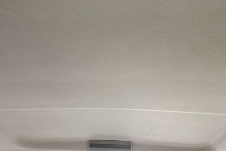 Used FORTHING Lingzhi 2015 V3 1.6L 7-Seater Standard Model Headliner