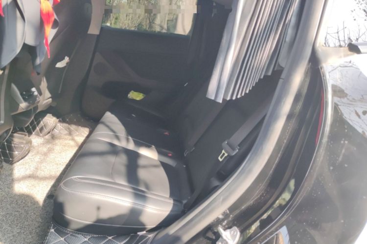 Used Tesla Model Y 2021 Standard Range Rear-Wheel Drive Version Left Rear Seat