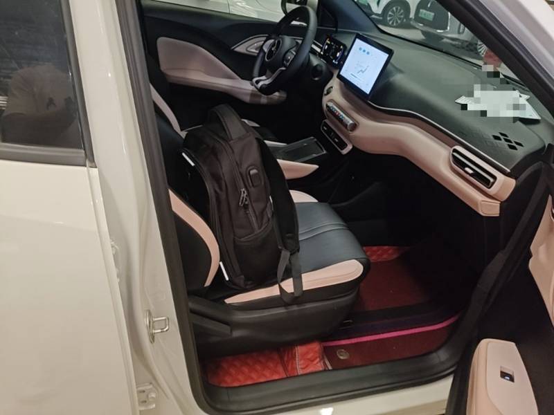 Used BYD Seagull 2023 Free Edition — 24