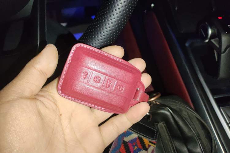 Used Tank 400 2025 2.0T Gasoline Version