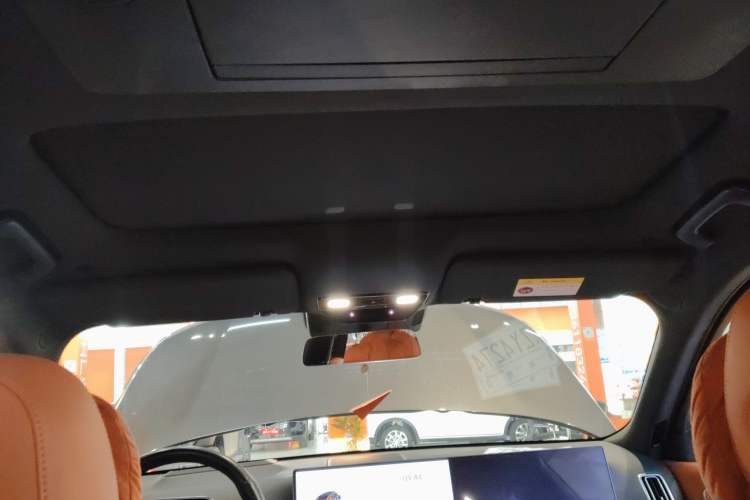 Used Li Auto L9 2022 Max model Headliner