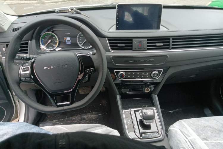 Used FORTHING S50 2021 Battery-Swapping Version