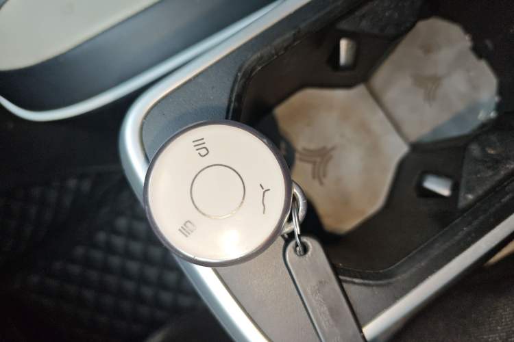 Used NETA AYA 2023 401 Lite Vehicle Key