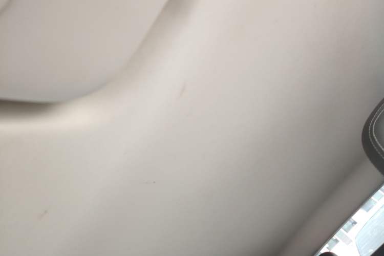 Used NETA V 2022 Long-Range Industry Custom Edition Headliner