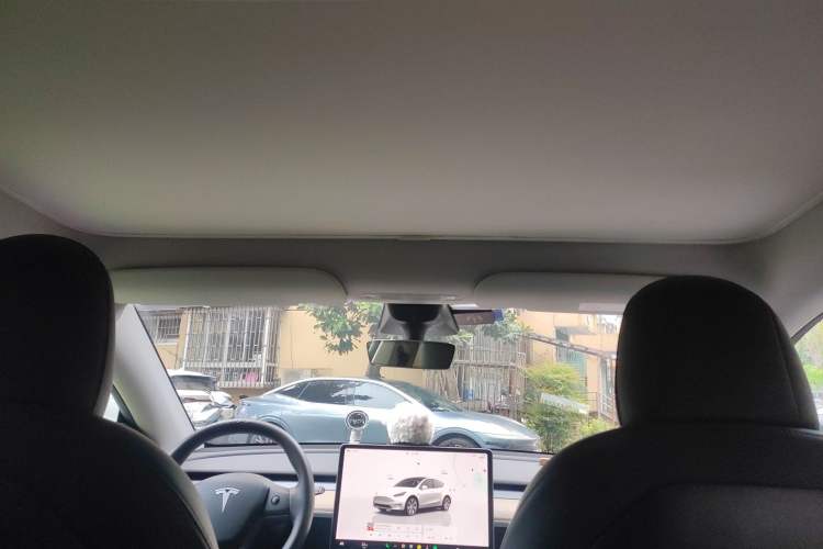 Used Tesla Model Y 2021 Standard Range Rear-Wheel Drive Version
