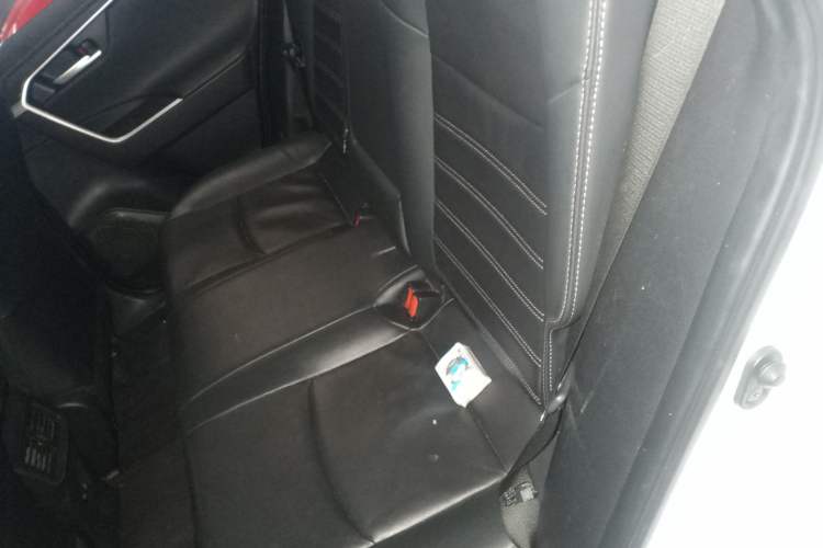 Used Toyota Wildlander 2022 Dual-Engine 2.5L E-CVT Two-Wheel Drive Luxury PLUS Edition Left Rear Seat