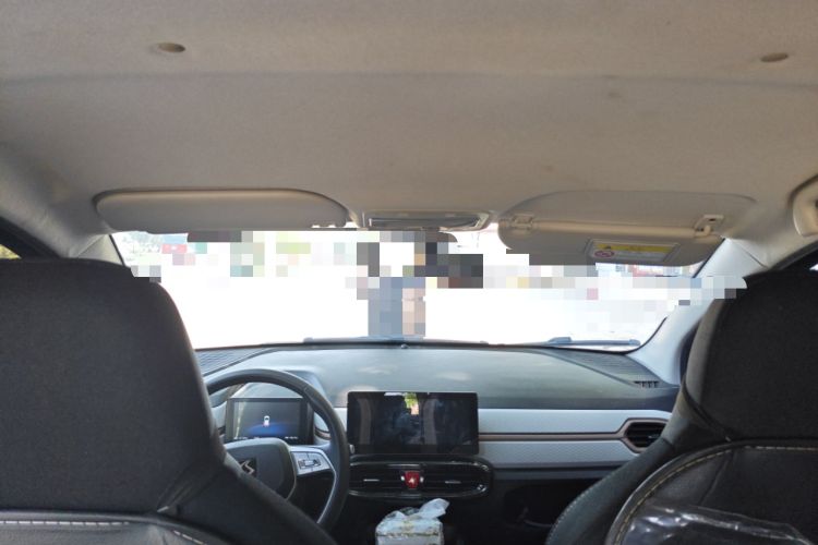 Used SOL E10X 2022 Flower Fairy Design Four-Leaf Clover