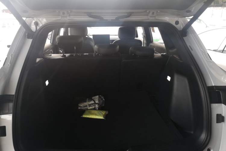 Used Wuling Xingguang S 2024 510 km Flagship Version
