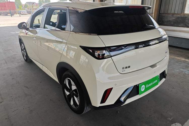 Used BYD Dolphin 2024 Honor Edition 420km Freedom Version Rear Left 45 Deg