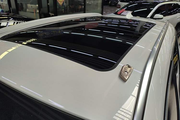 Used BMW X1 2020 sDrive20Li Premium Edition Roof