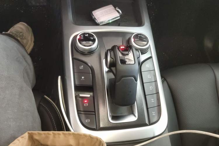 Used Tank 300 2024 2.0T Conqueror