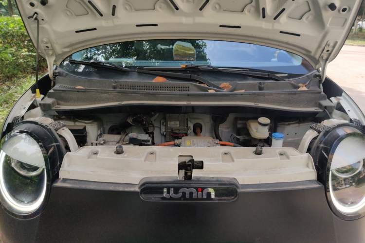 Used CHANGAN NEVO Lumin 2022 210km Sweet Edition
