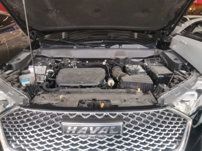 Used Haval H6 2022 3rd Generation 1.5T Automatic Two-Wheel Drive Max — 19