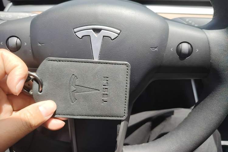Used Tesla Model 3 2020 Standard Range Rear-Wheel Drive Upgraded Version
