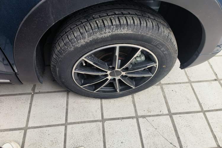 Used Dayun Yuehu 2023 230 Standard Edition