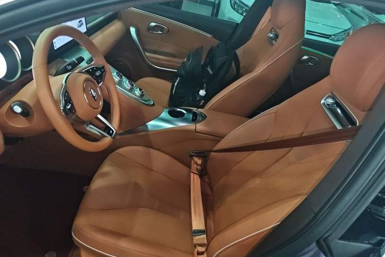 Used ORA Lightning Cat 2022 555 km Luxury Edition
