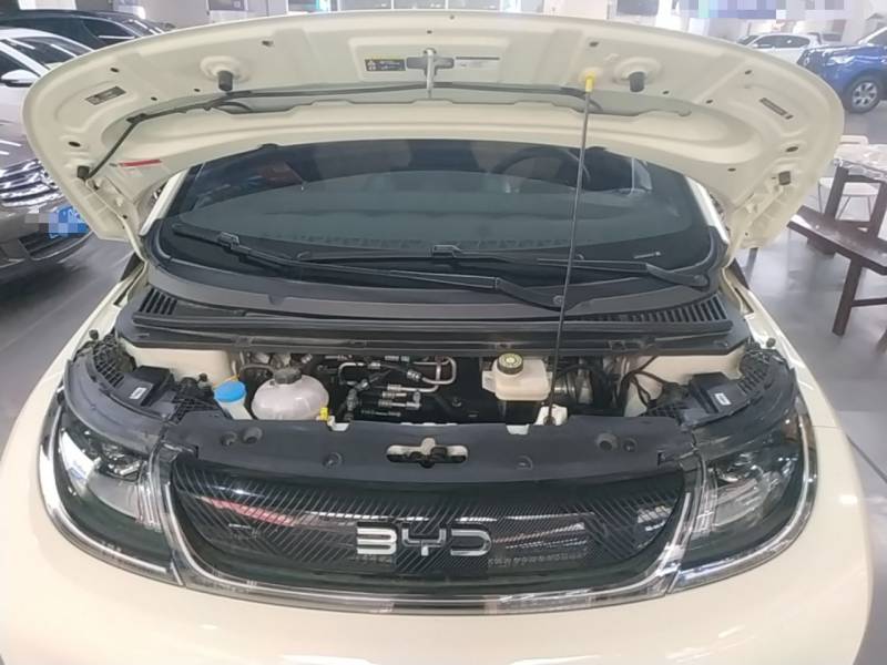 Used BYD Dolphin 2025 420km Free Edition — 19