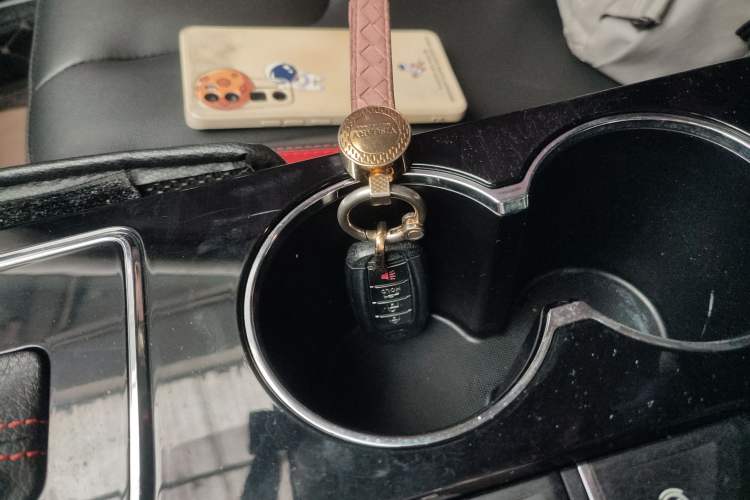 Used Venucia D60 2020 1.6L XL CVT Enjoyment Edition
