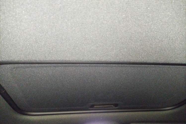 Used Buick Verano 2023 Pro GS Hunter Wind Edition Headliner