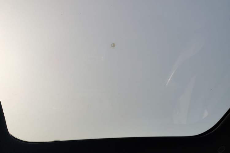 Used BYD Dolphin 2024 Honor Edition 420km Fashion Version