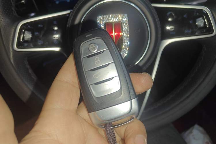 Used Hongqi H9 2020 2.0T Smart Connect Flagship Edition
