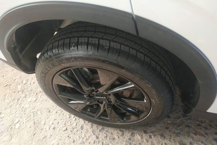 Used Haval H6 2021 3rd Generation 2.0T Automatic Two-Wheel Drive Max