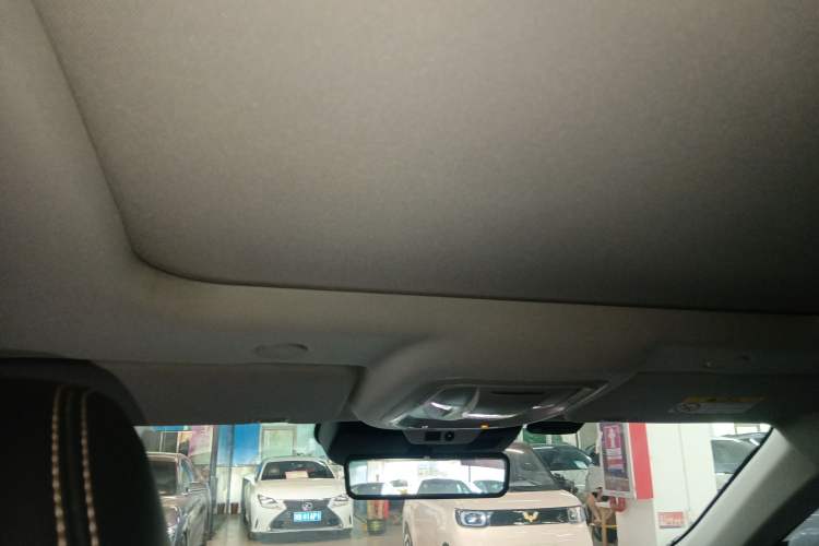 Used Wey Mocha 2021 2.0T Four-Wheel Drive Premium Edition
