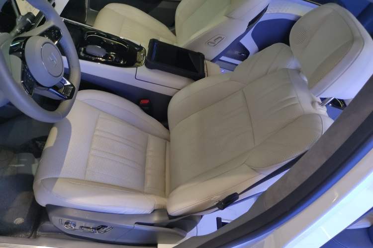 Used Zeekr 009 2022 WE Edition Left Front Seat