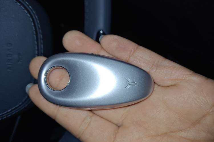 Used VOYAH PASSION 2023 Four-Wheel Drive Long-Range Version