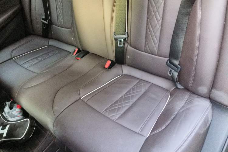 Used BMW 5 Series New Energy 2019 530Le Luxury Package Left Rear Seat